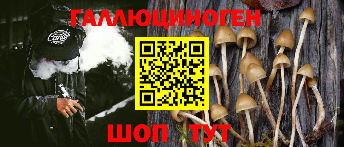 Псилоцибиновые грибы Psilocybine cubensis  Вход с VPN  Галлюциногенные грибы Psilocybine cubensis  Нижнеудинск 